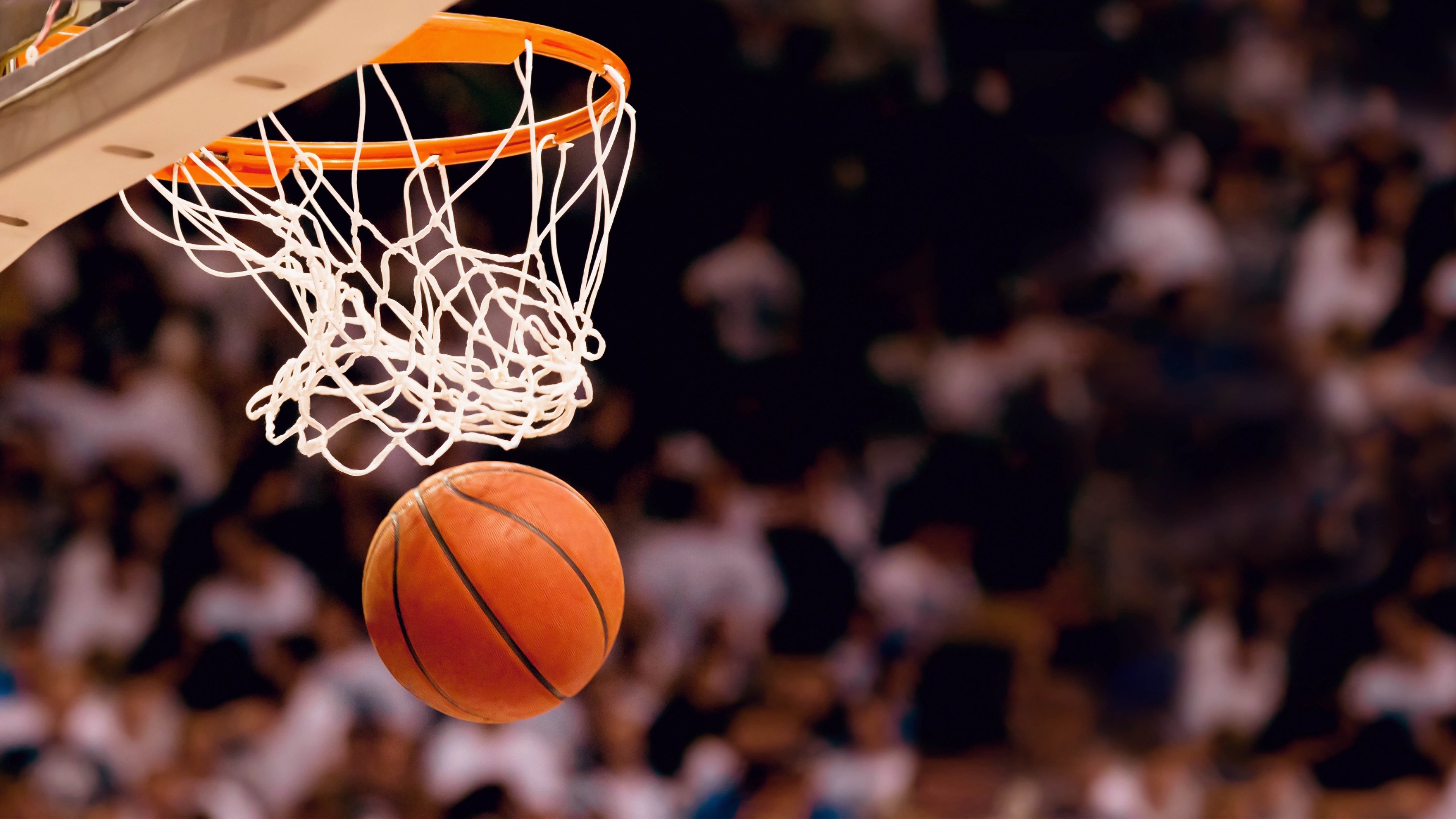 考察NBA：新兴球员的成长速度惊人，nba xin l